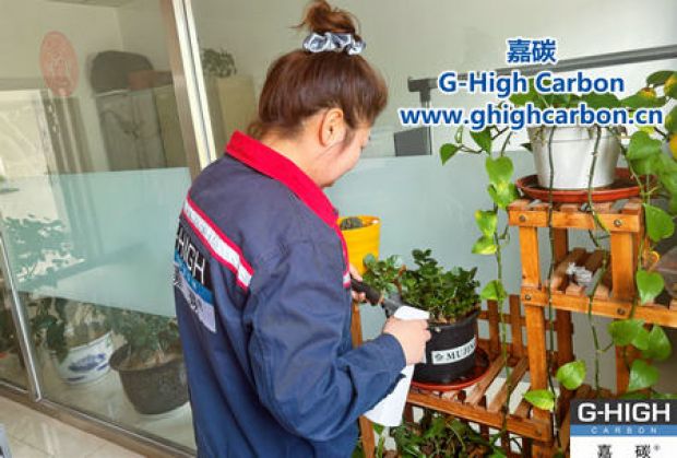 午休時光種花忙，美化辦公環(huán)境添綠意